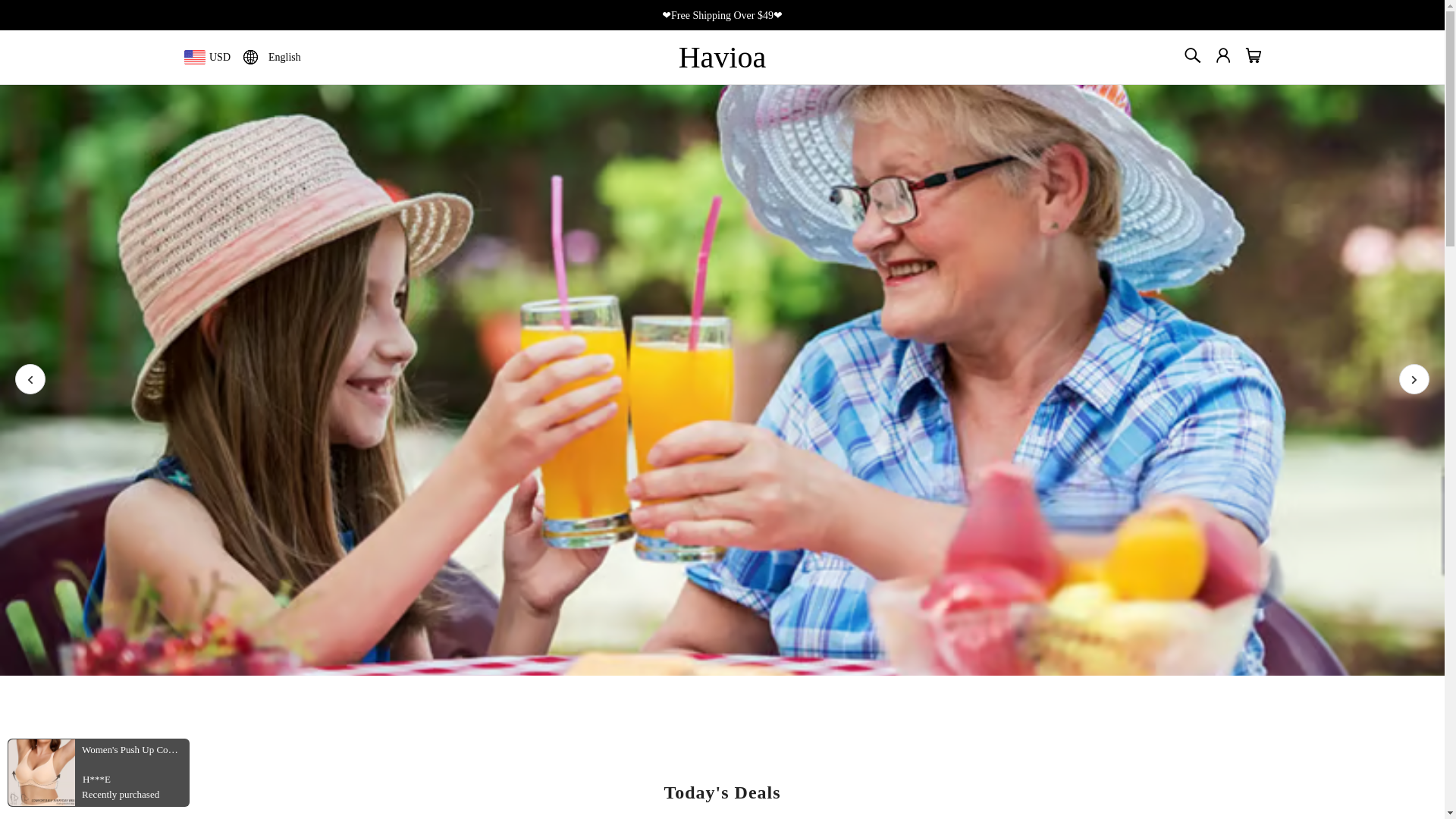 website screenshot of https://havioa.com/