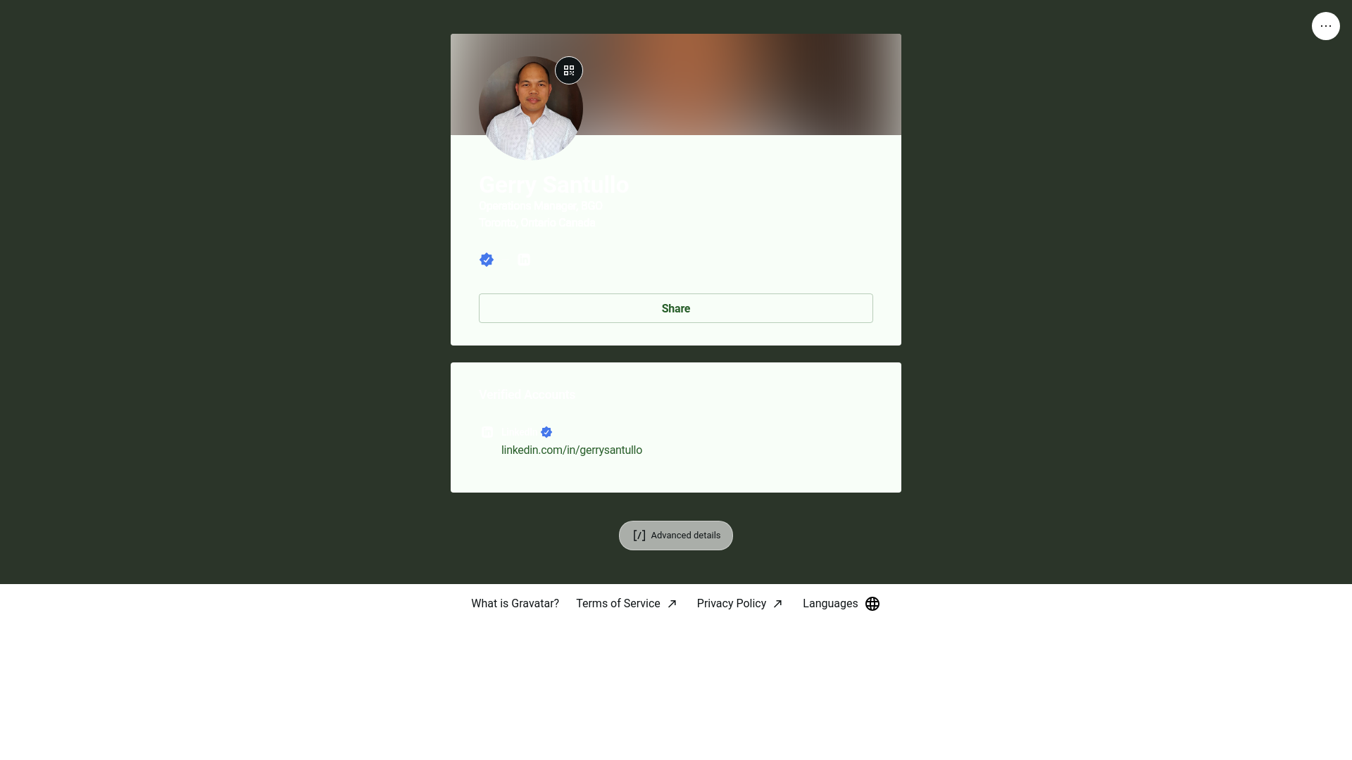 website screenshot of https://gerrysantullo.link/
