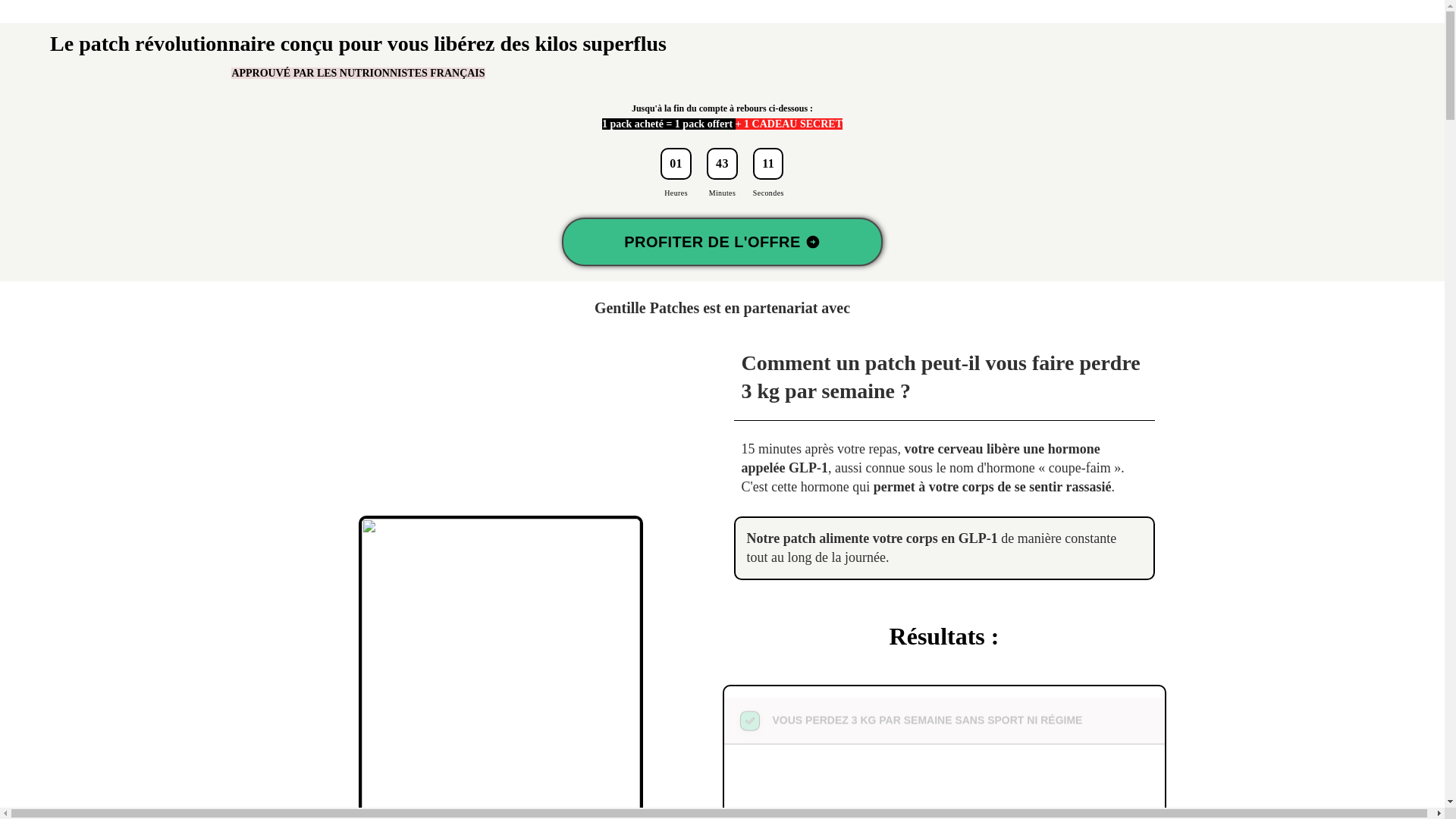 website screenshot of https://gentillepatches.com/