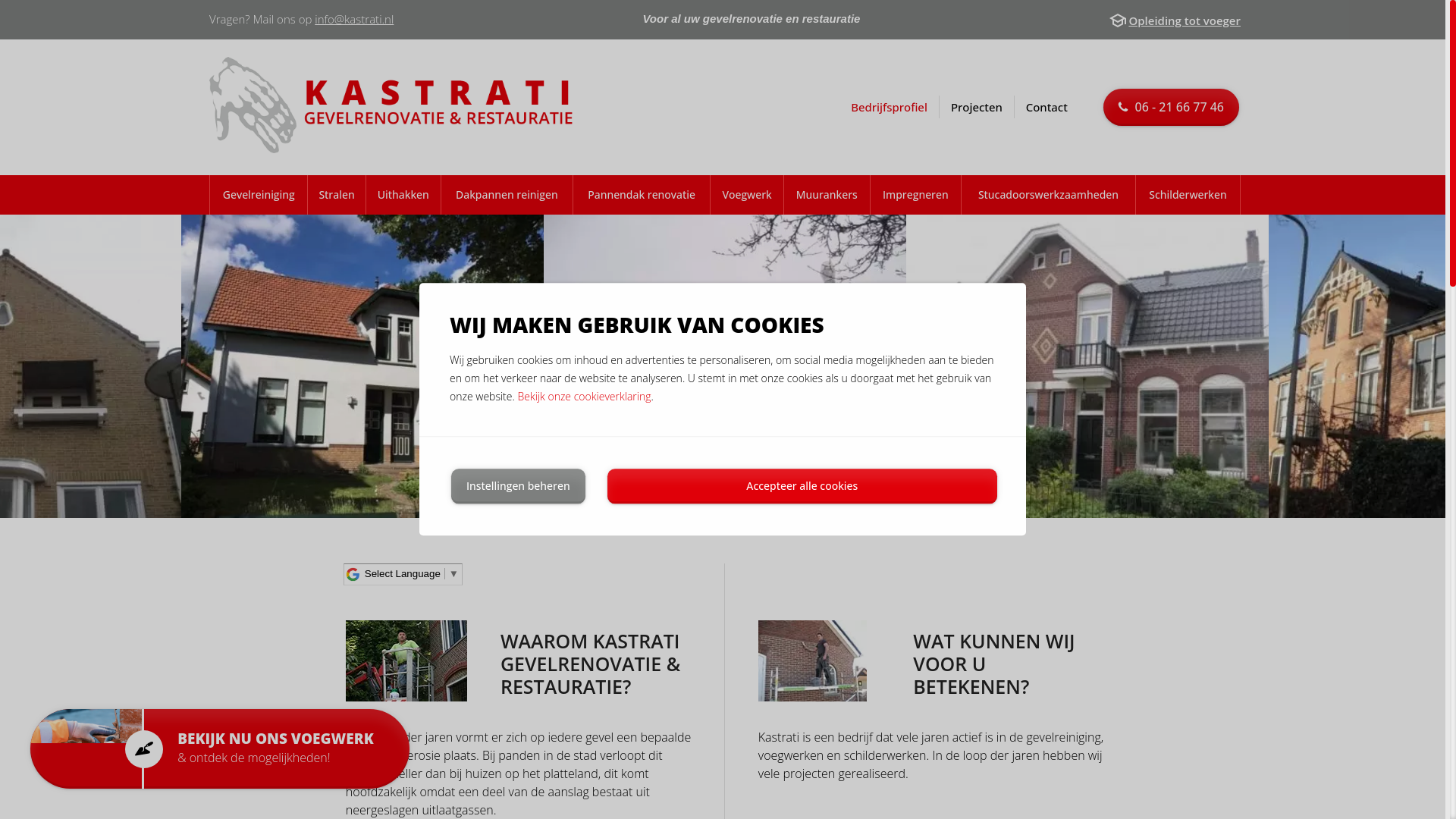 website screenshot of https://kastratizeist.nl/
