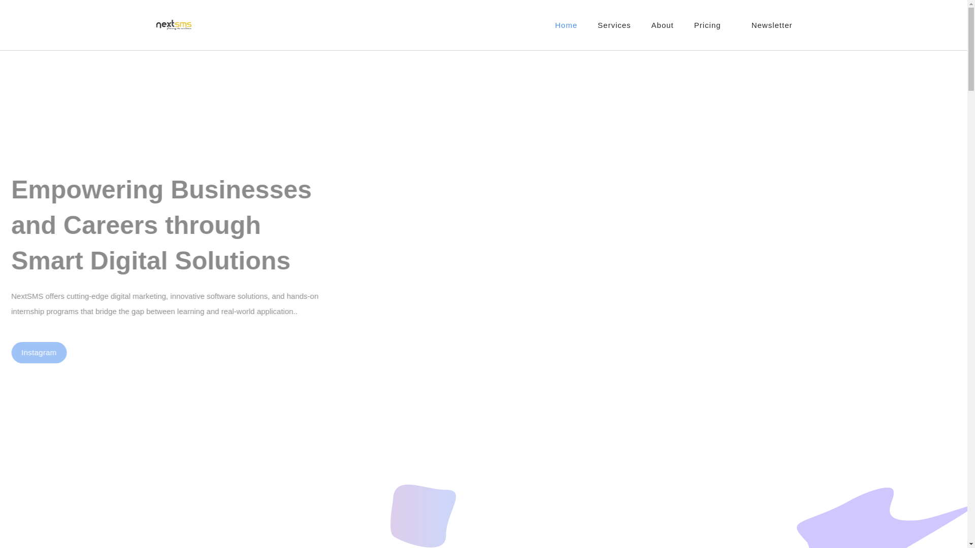 website screenshot of https://nextsms.online/