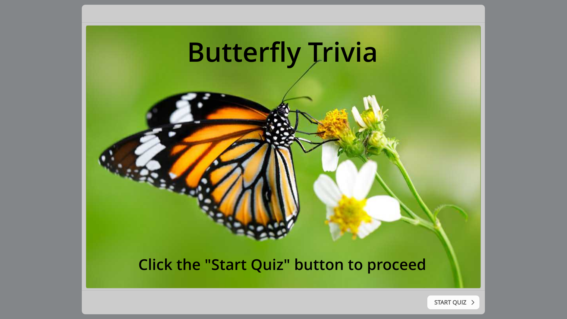 website screenshot of https://29c9c927-0b45-4ba7-a7a6-986b2740a12b-qa.pages.dev/