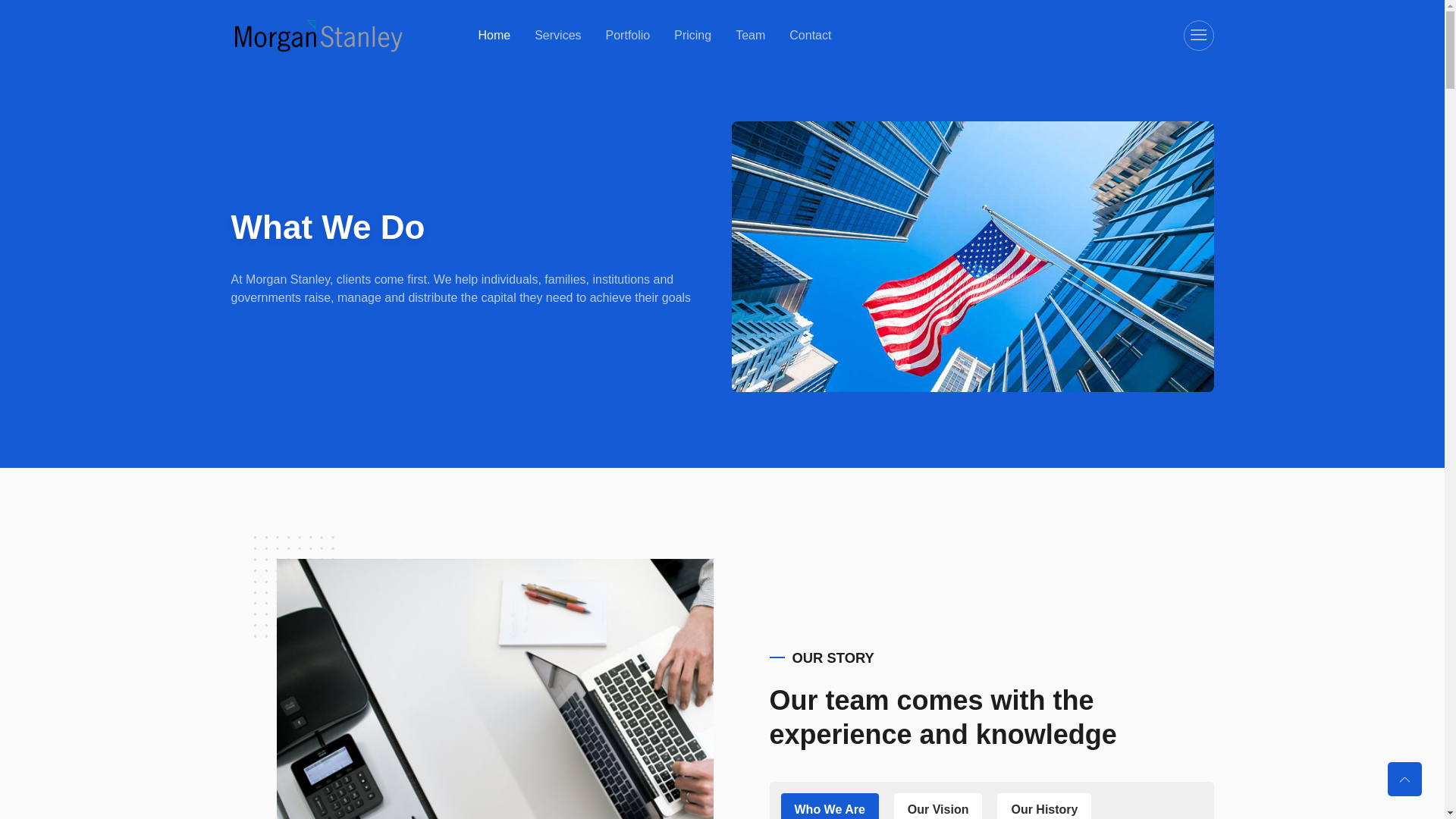 website screenshot of https://msworldinvest.com/