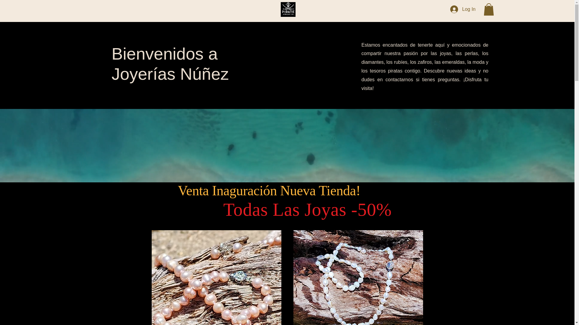 website screenshot of https://xn--joyeriasnuez-jhb.com/