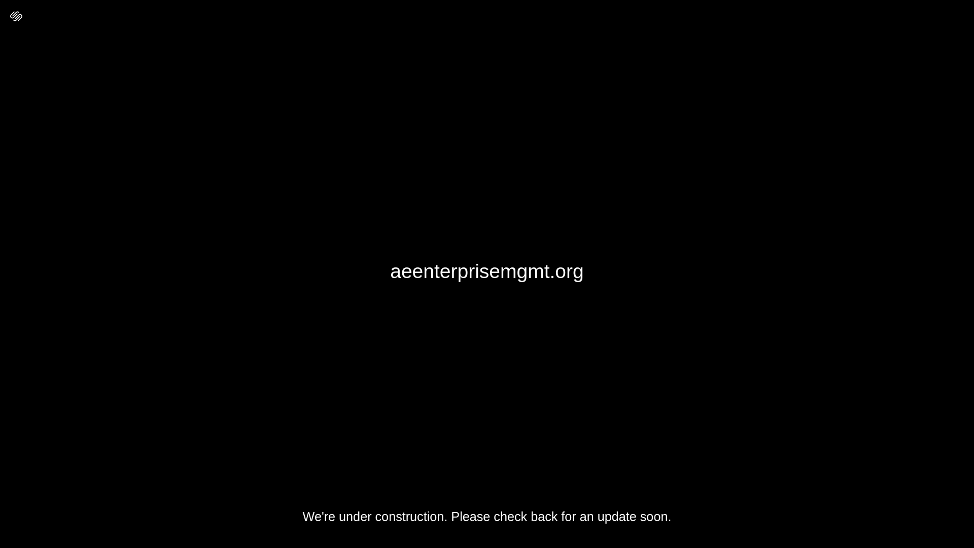 website screenshot of https://aeenterprisemgmt.org/