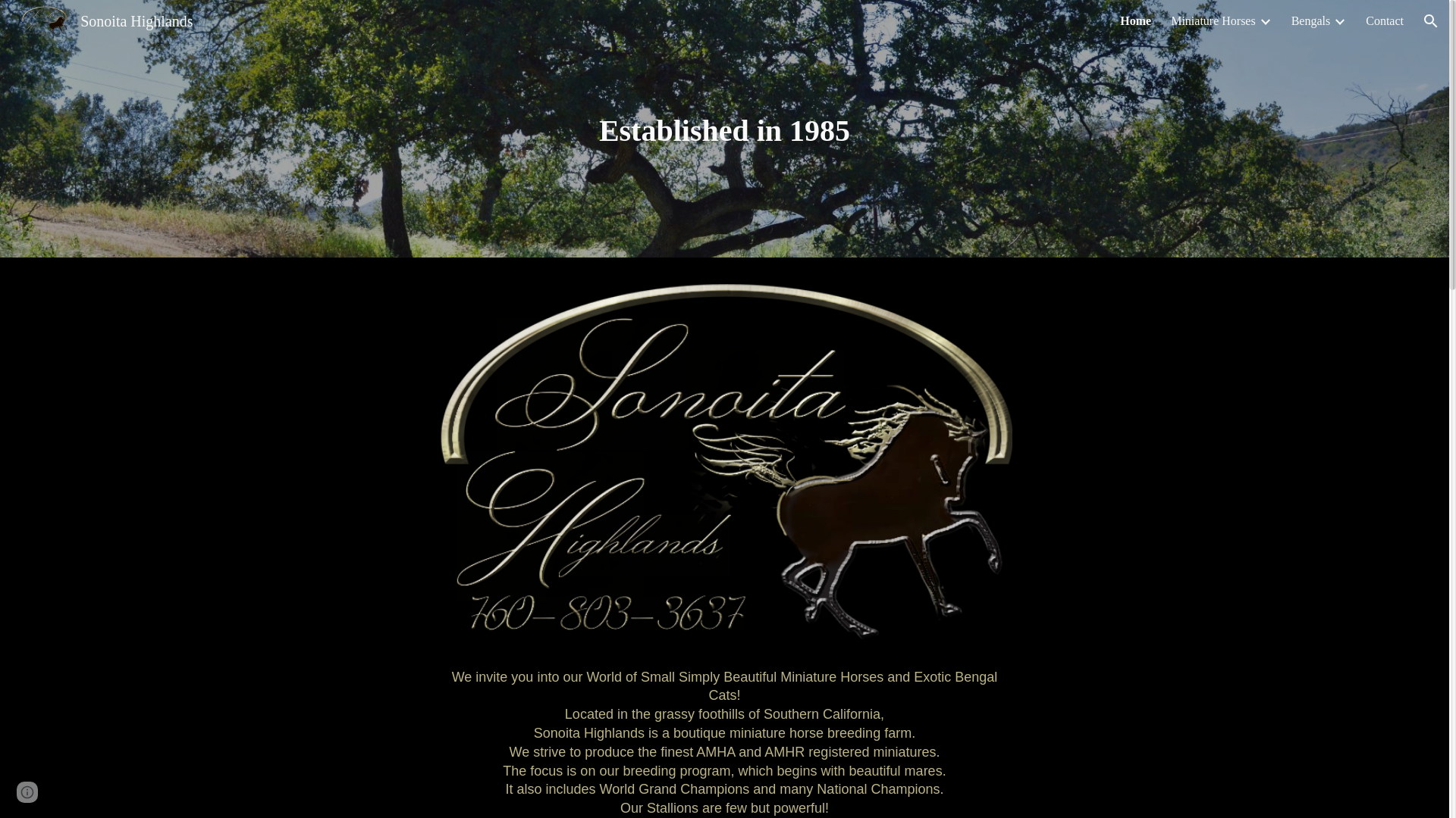 website screenshot of https://sonoitahighlands.org/