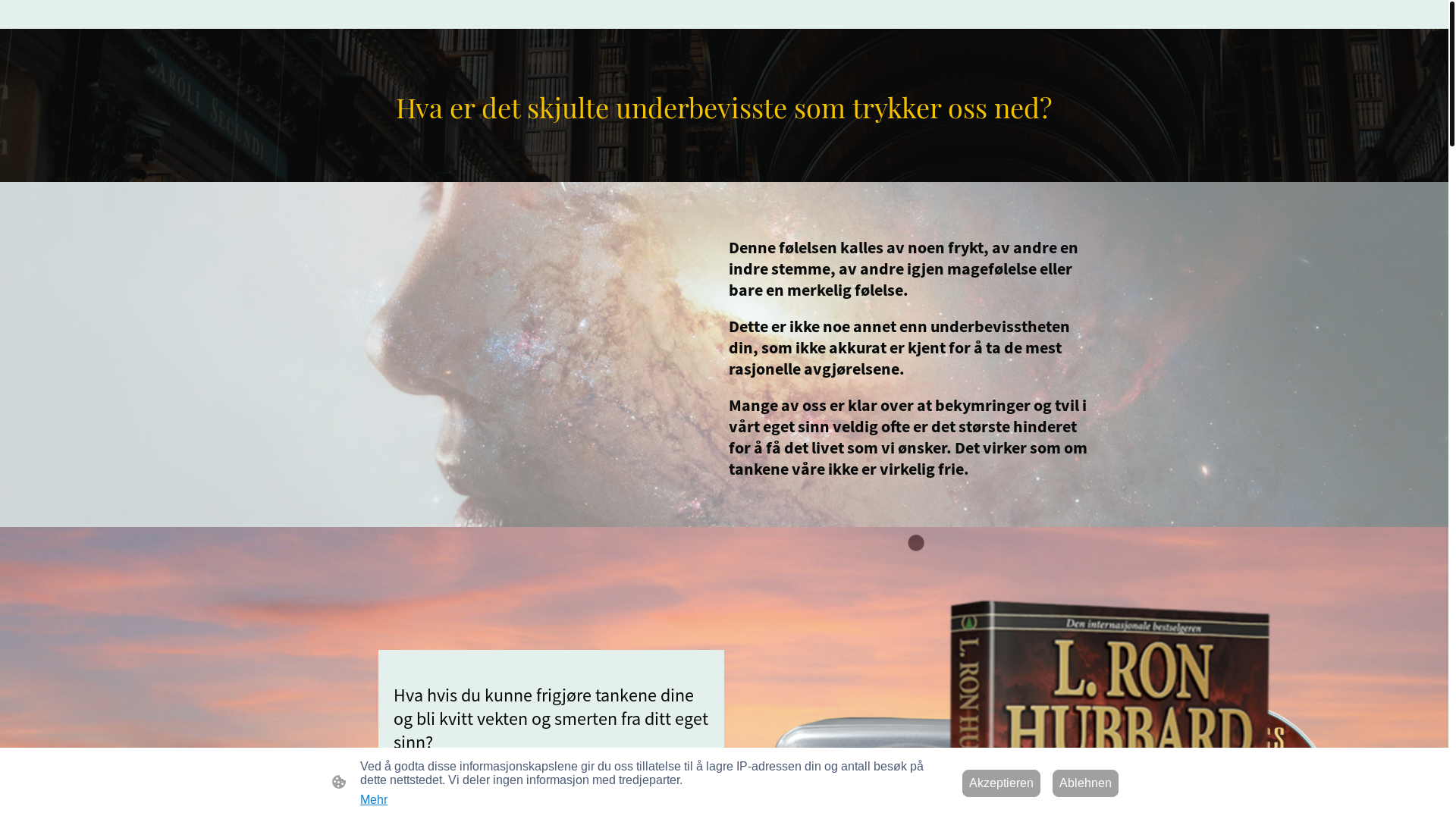 website screenshot of https://dianeticsnorge.com/