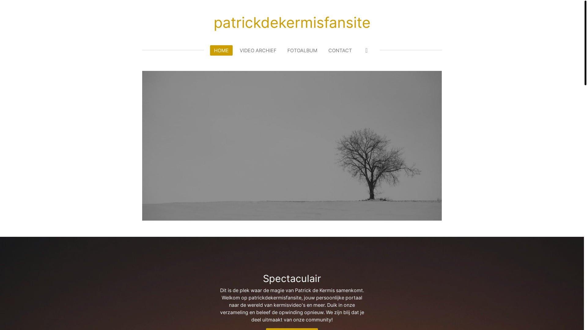 website screenshot of https://patrickdekermisfansite.nl/