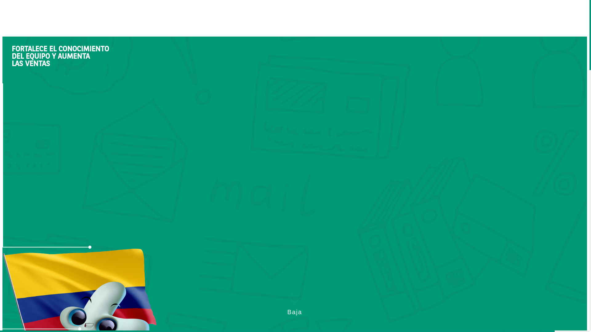 website screenshot of https://mas-training.co/