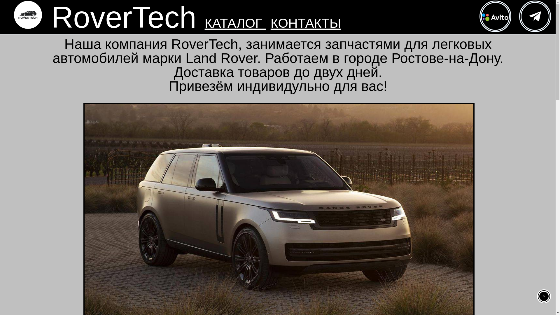 website screenshot of https://rover-tech.store/