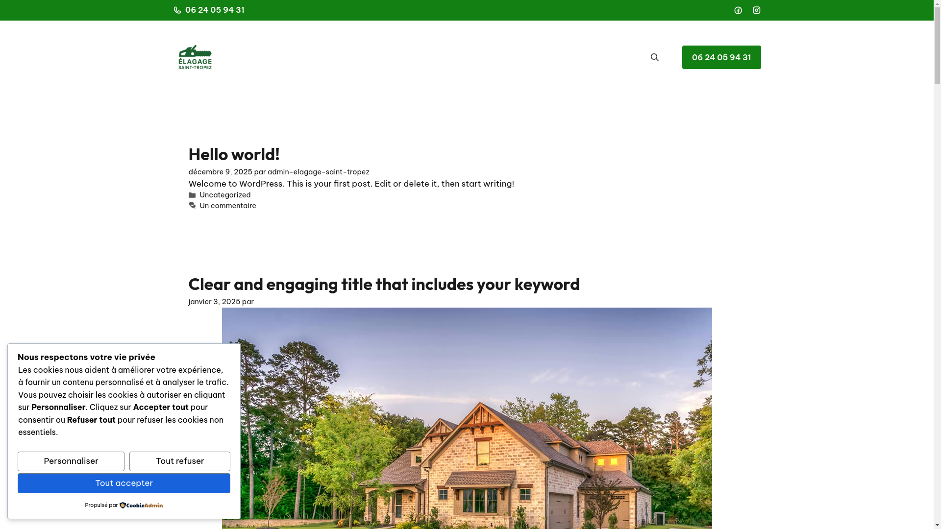 website screenshot of https://elagage-saint-tropez.fr/