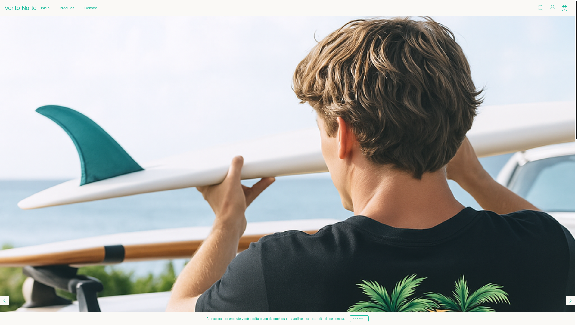 website screenshot of https://storeventonorte.com.br/