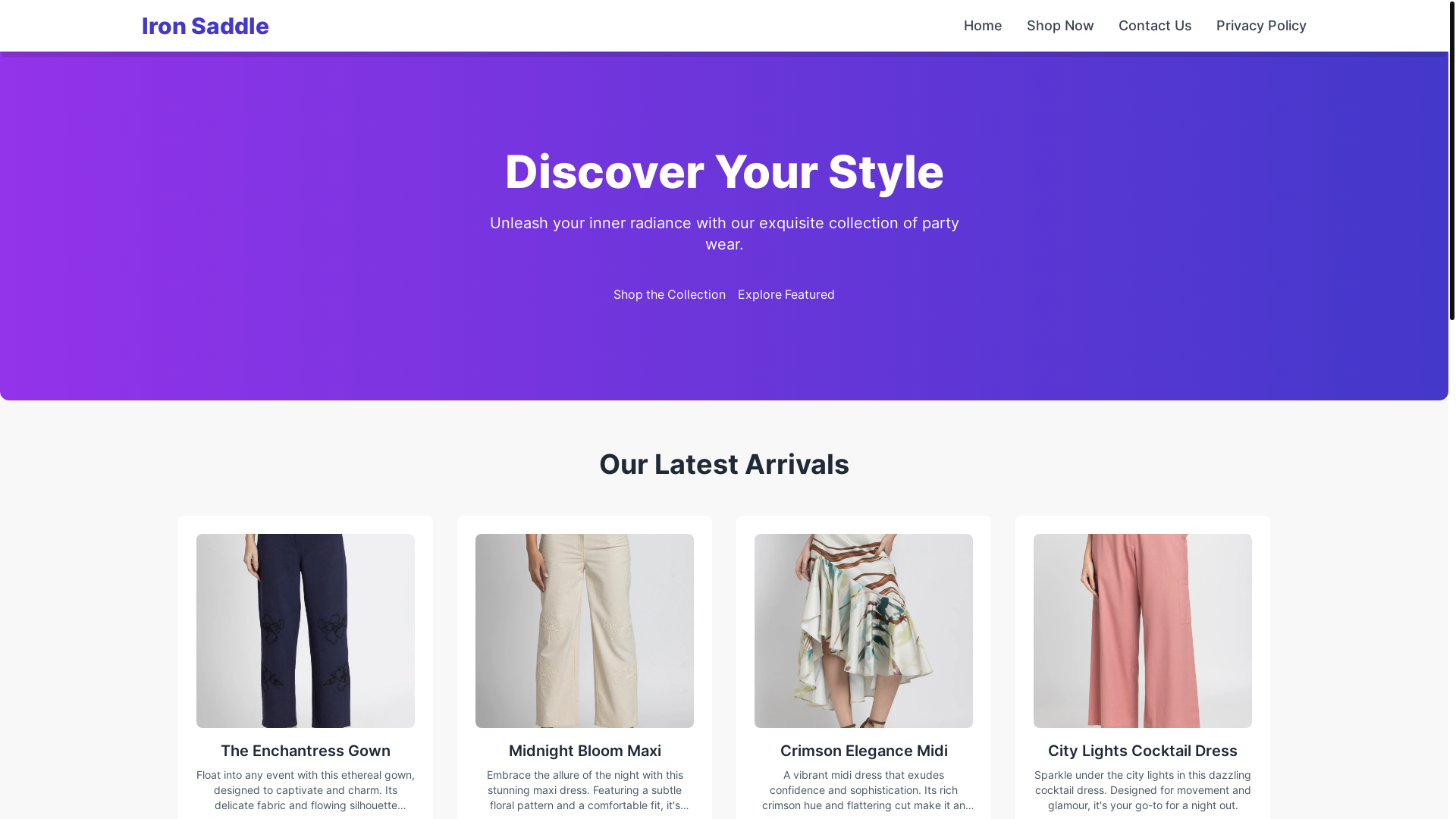 website screenshot of https://ironsaddle.store/