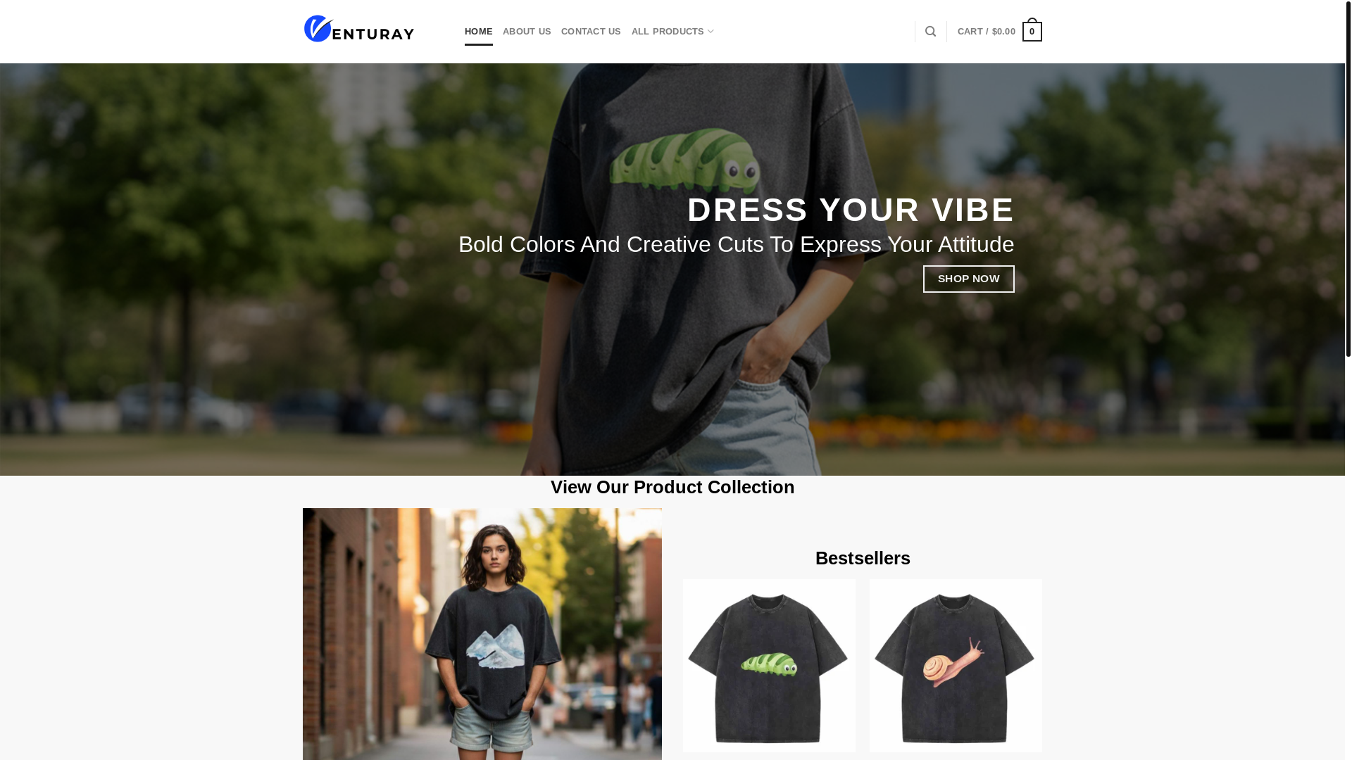 website screenshot of https://venturay.shop/