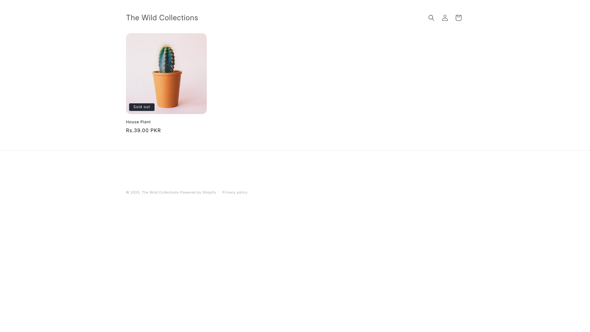 website screenshot of https://thewildcollections.com/
