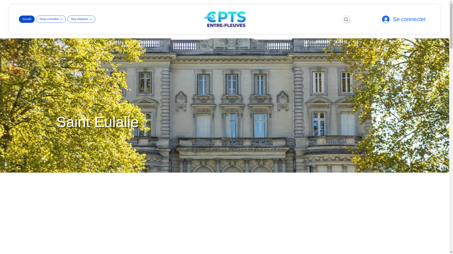 website screenshot of https://cptsentrefleuves.fr/