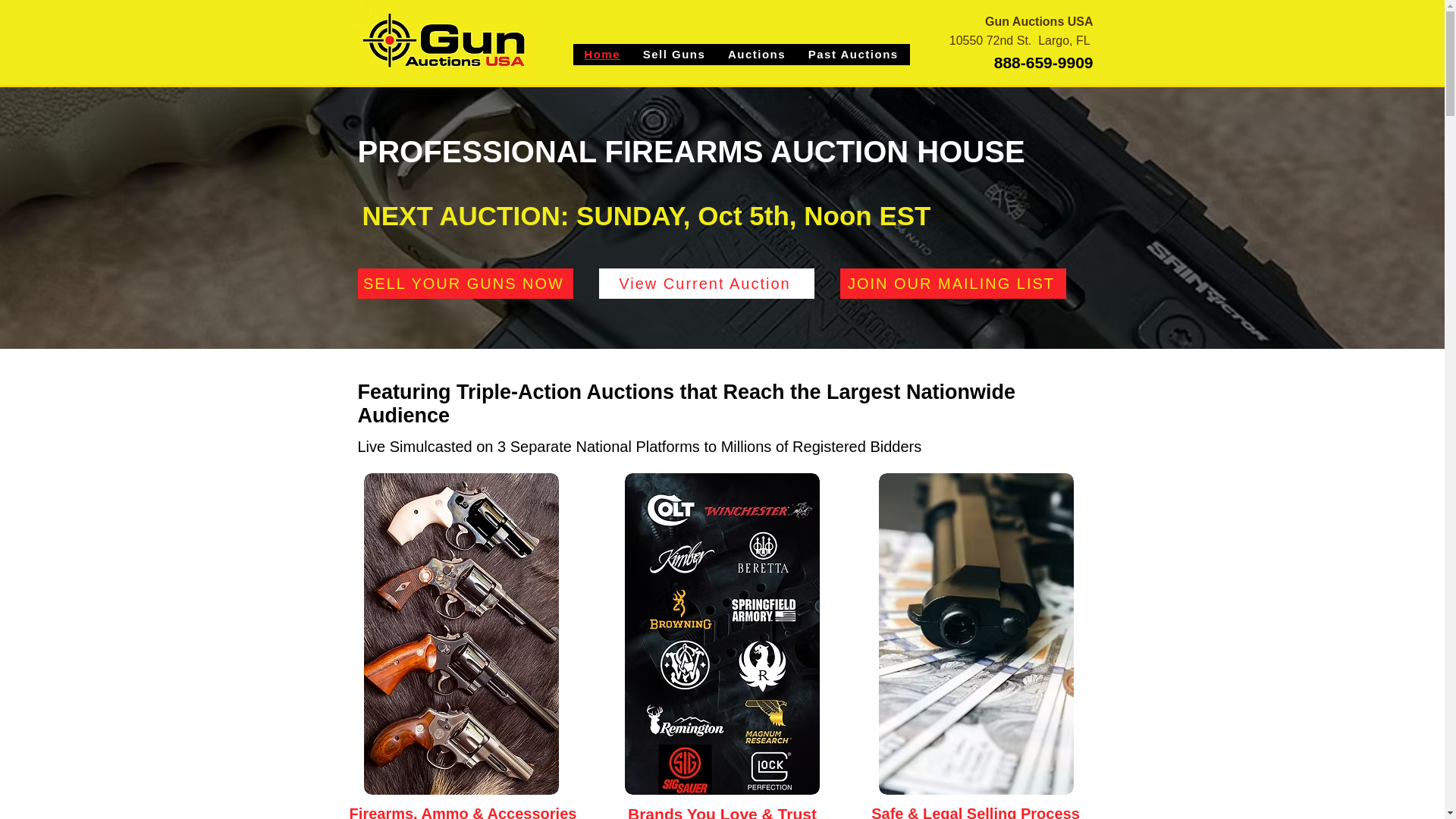 website screenshot of https://gunauctionflorida.com/