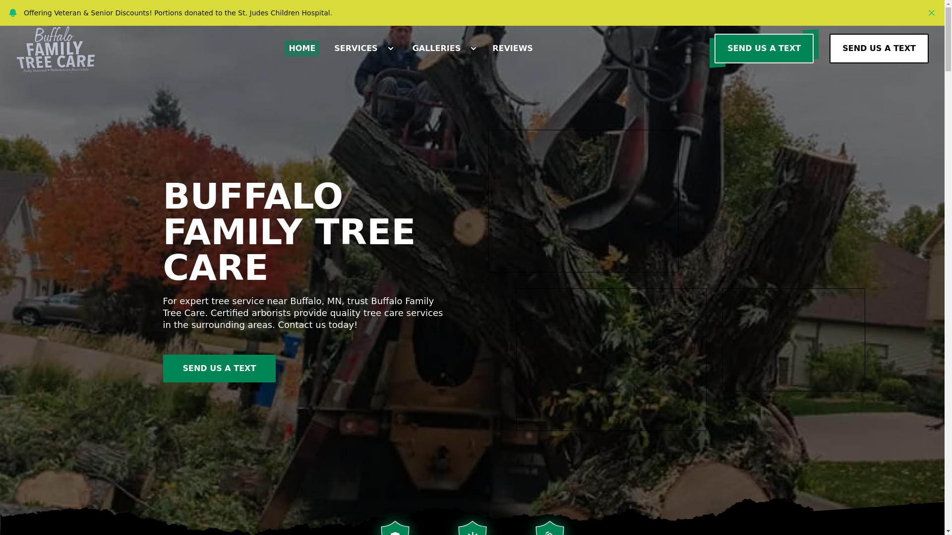 website screenshot of https://buffalofamilytreecaremn.com/