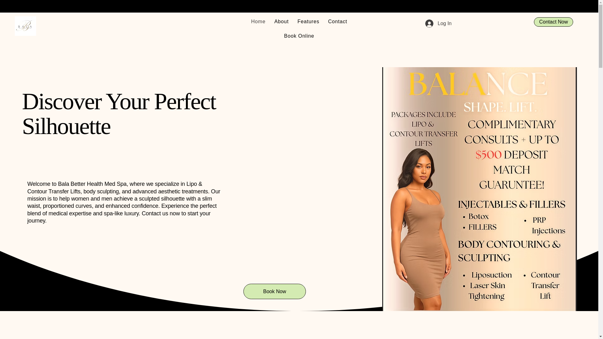 website screenshot of https://dollhouseenterprise.info/
