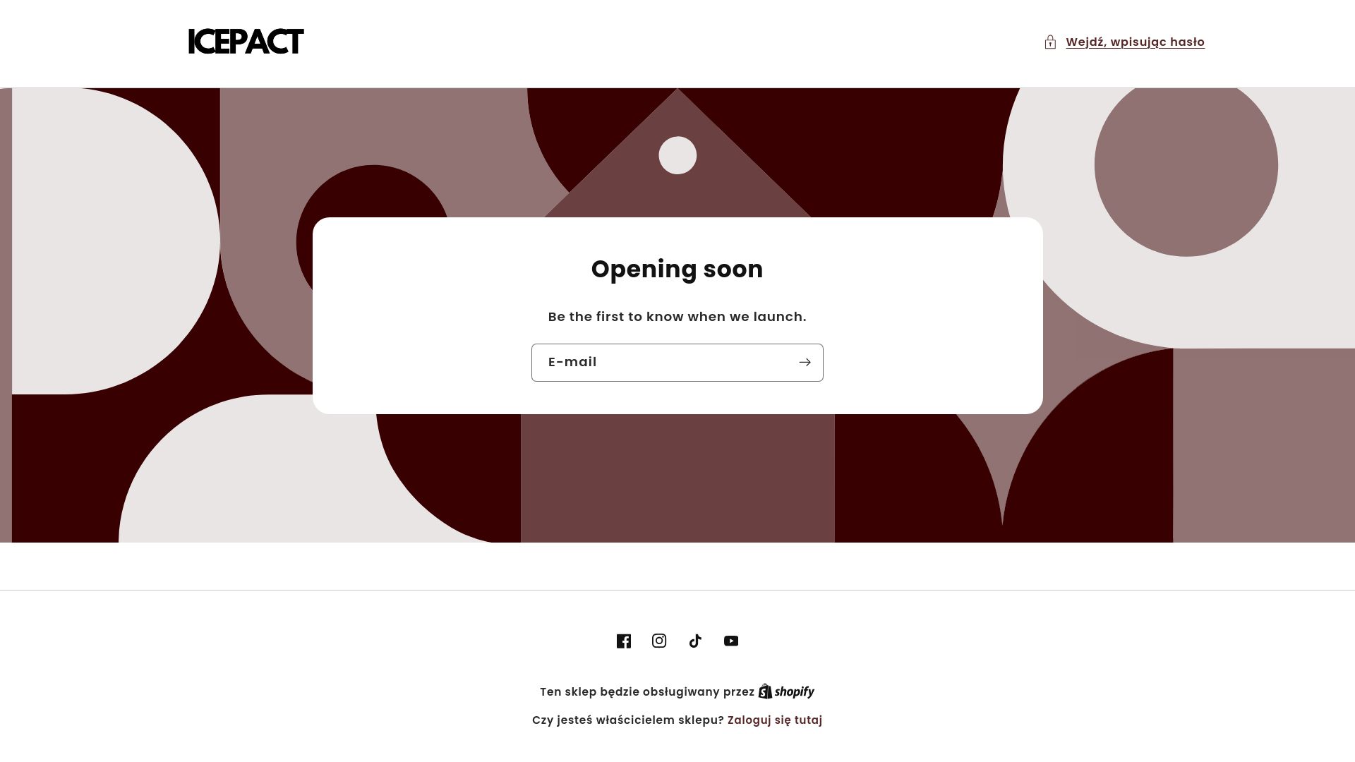 website screenshot of https://icepact.pl/