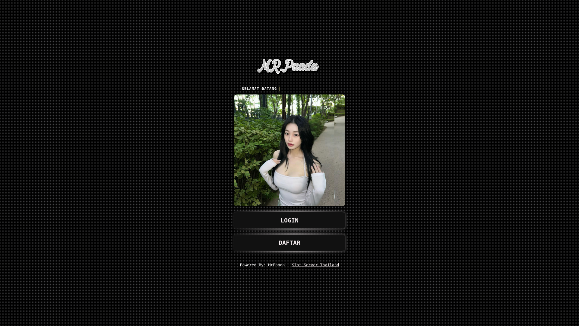 website screenshot of https://ampmrpanda.pages.dev/