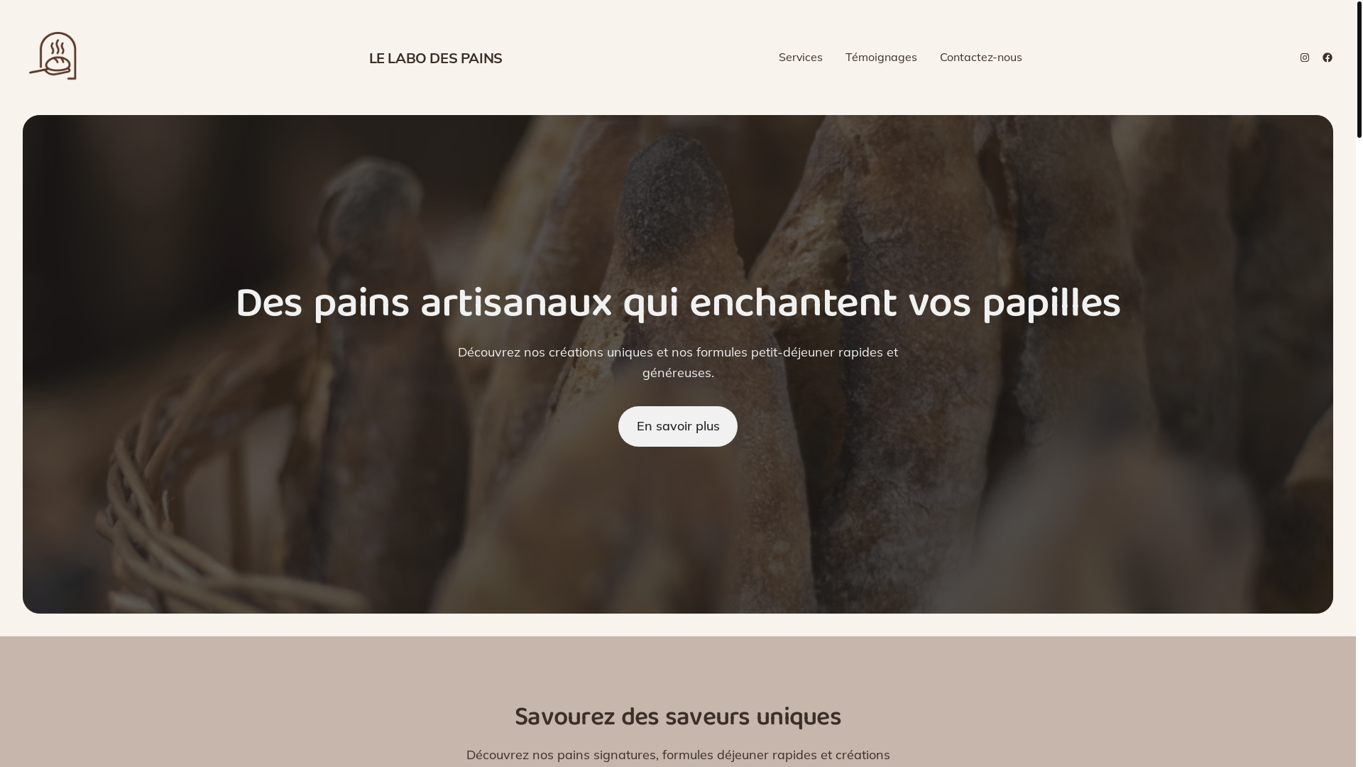 website screenshot of https://labodespains.fr/