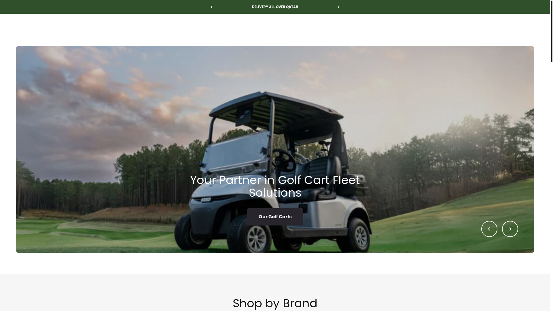 website screenshot of https://progressivetradingshop.com/