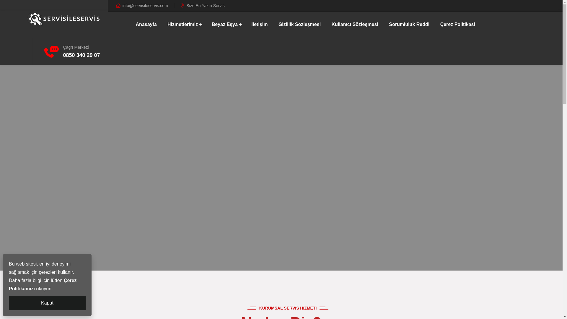 website screenshot of https://antalyaserviscagir.com/