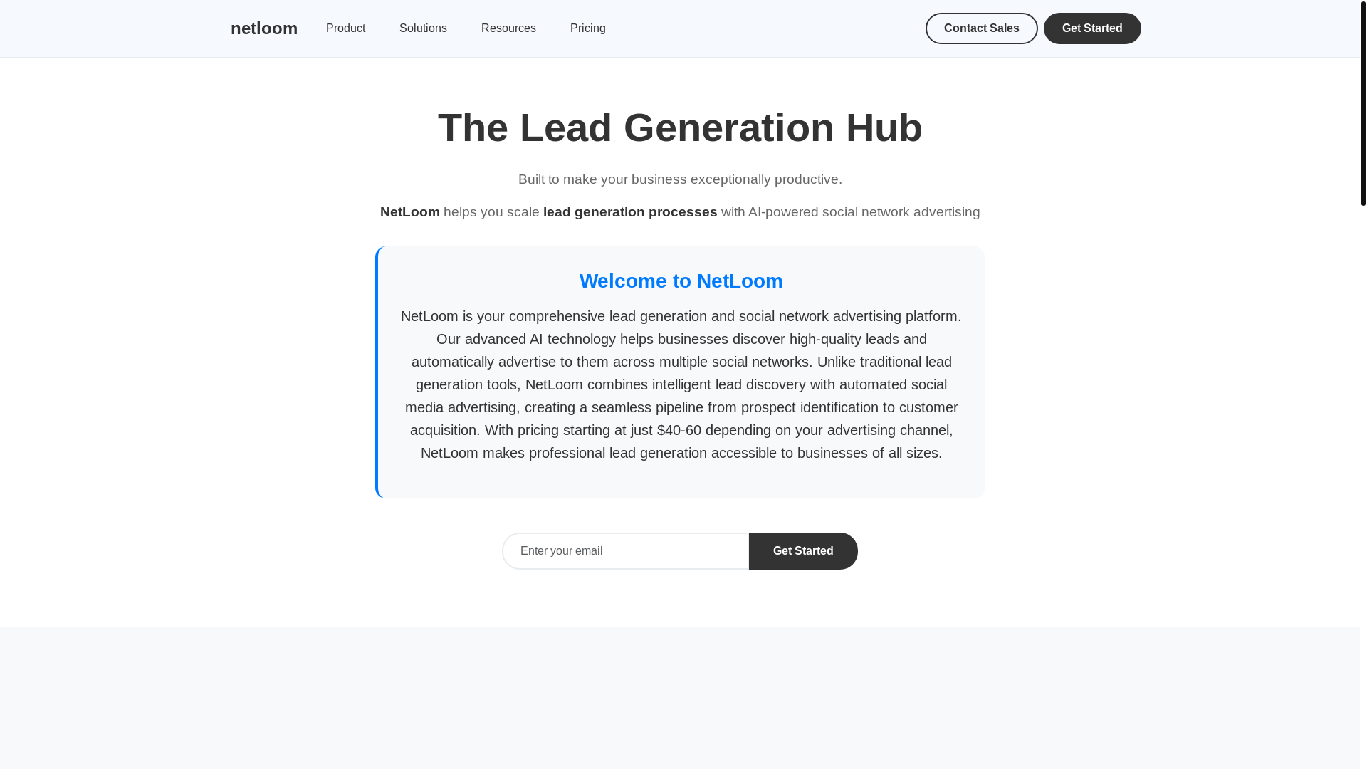 website screenshot of https://netloom.pages.dev/