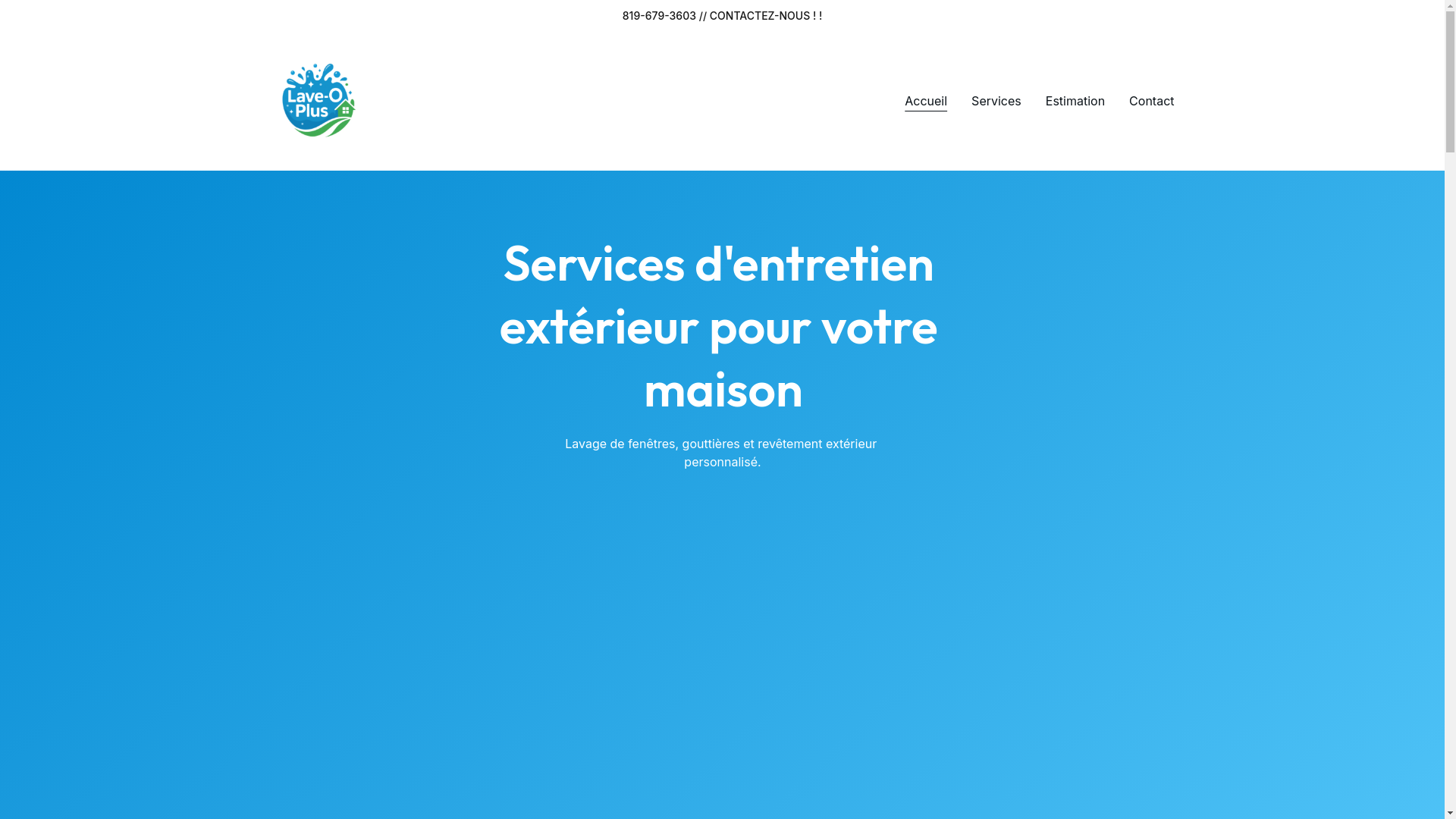 website screenshot of https://laveoplus.net/