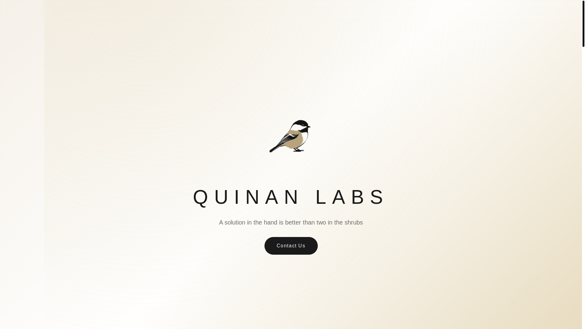website screenshot of https://quinanweb.pages.dev/