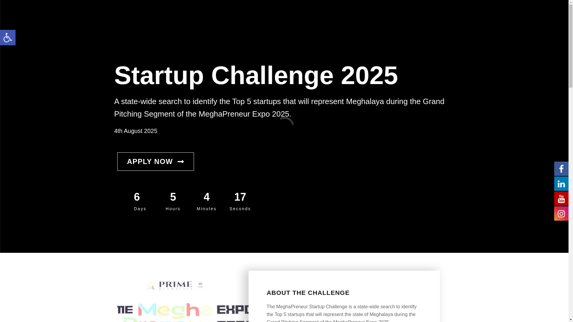 website screenshot of https://meghapreneur.com/