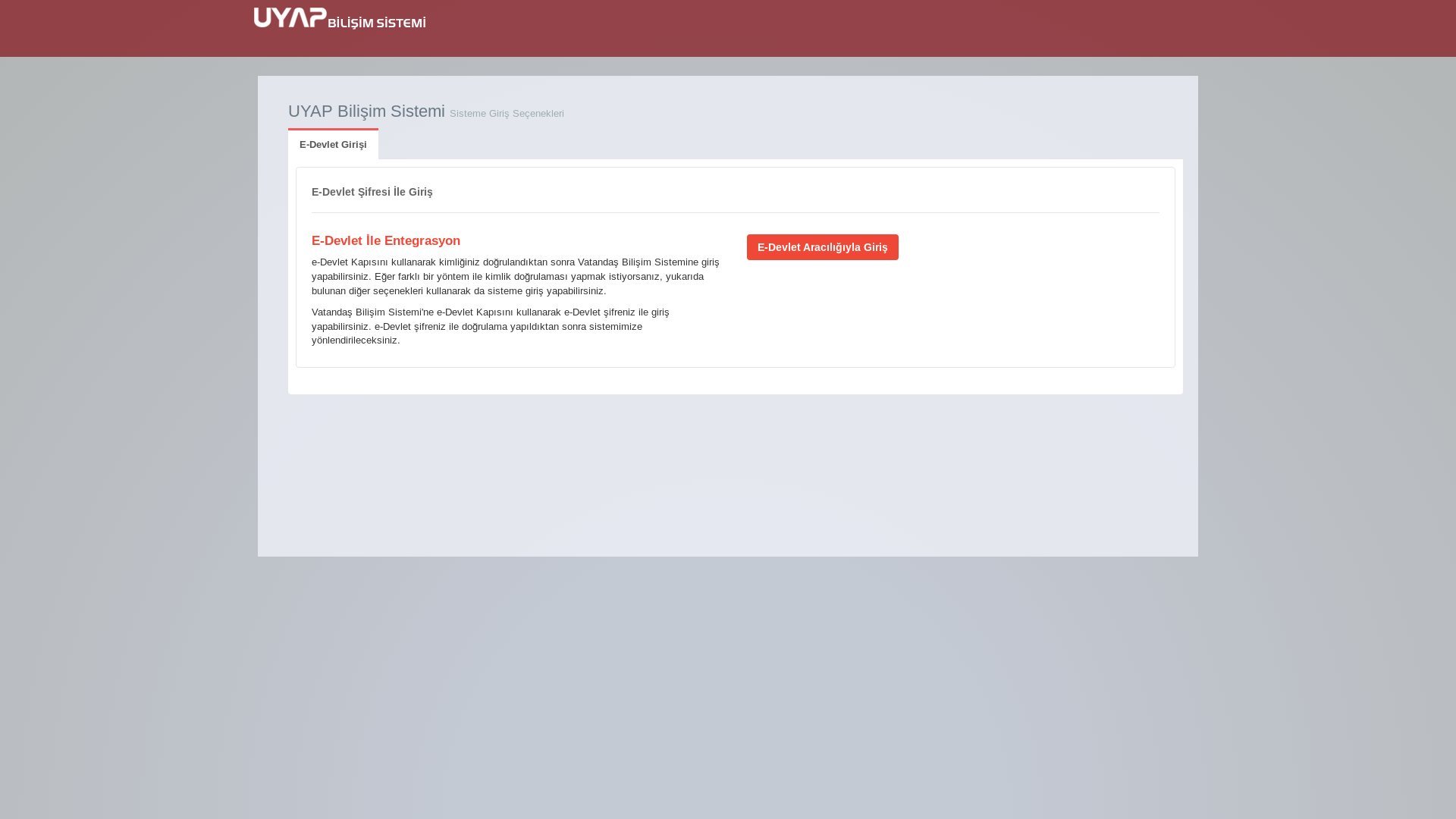 website screenshot of https://edevletkamu.org/