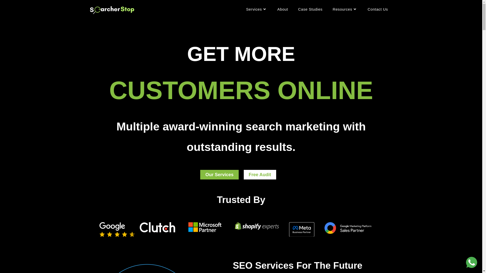 website screenshot of https://searcherstop.com/