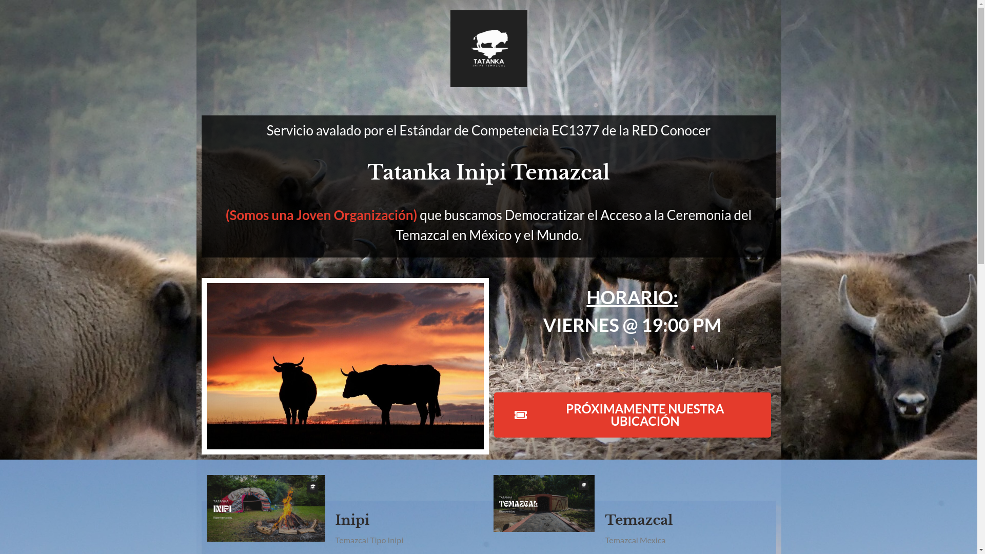 website screenshot of https://tatankainipitemazcal.com/