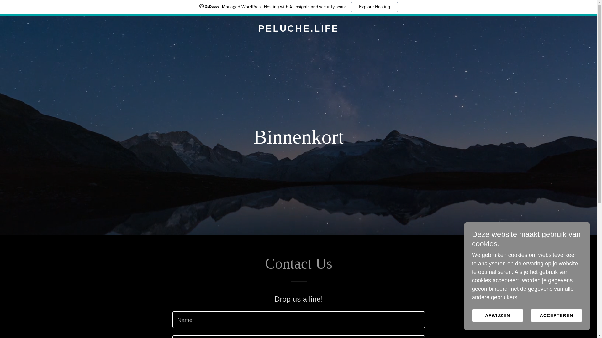 website screenshot of https://peluche.life/