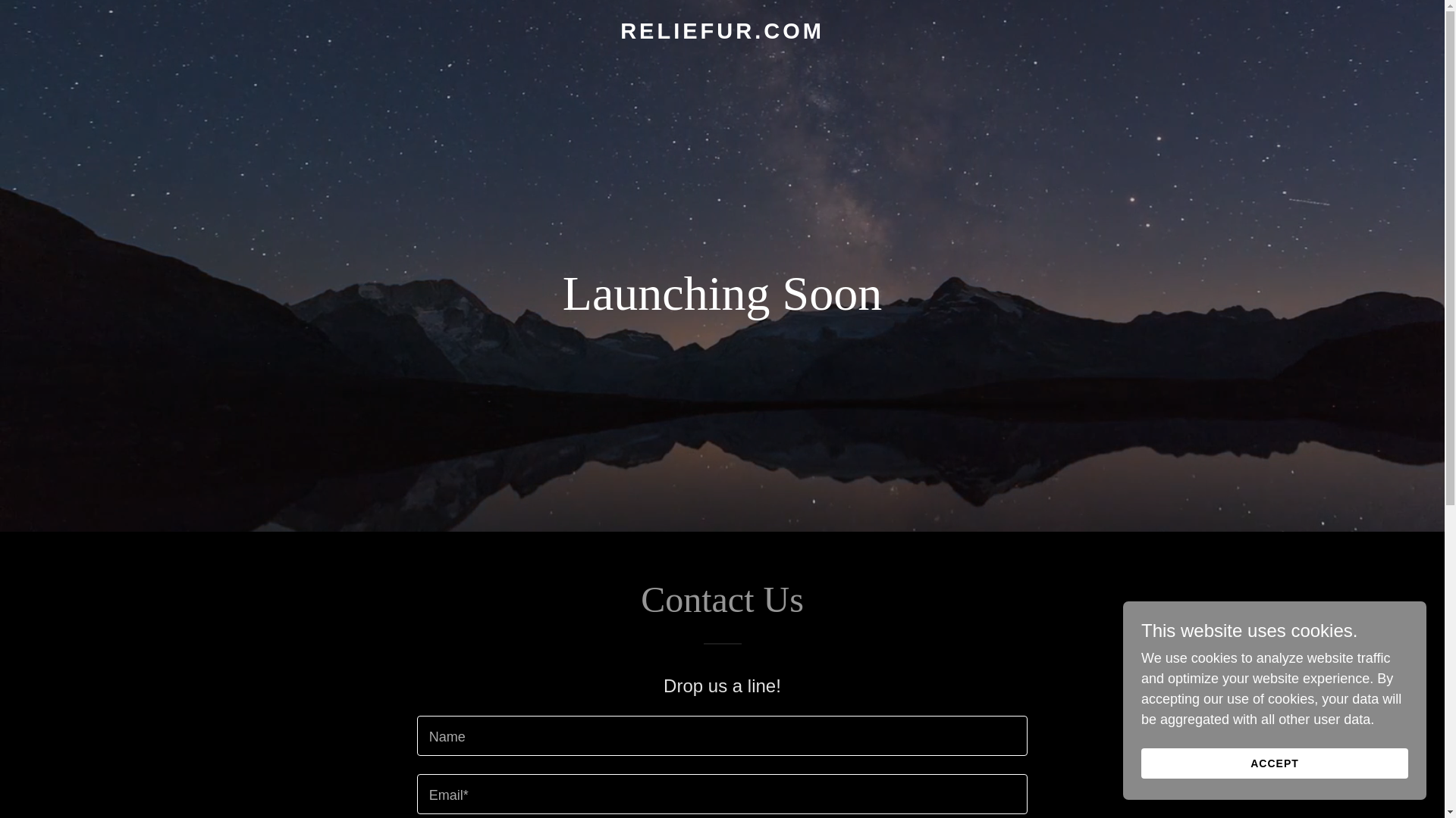 website screenshot of https://reliefur.com/