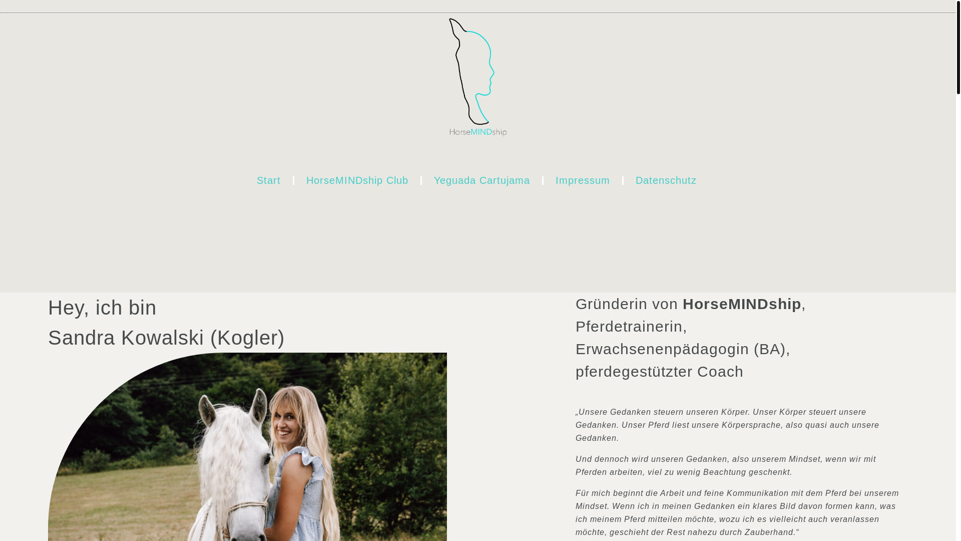 website screenshot of https://cartujama.de/