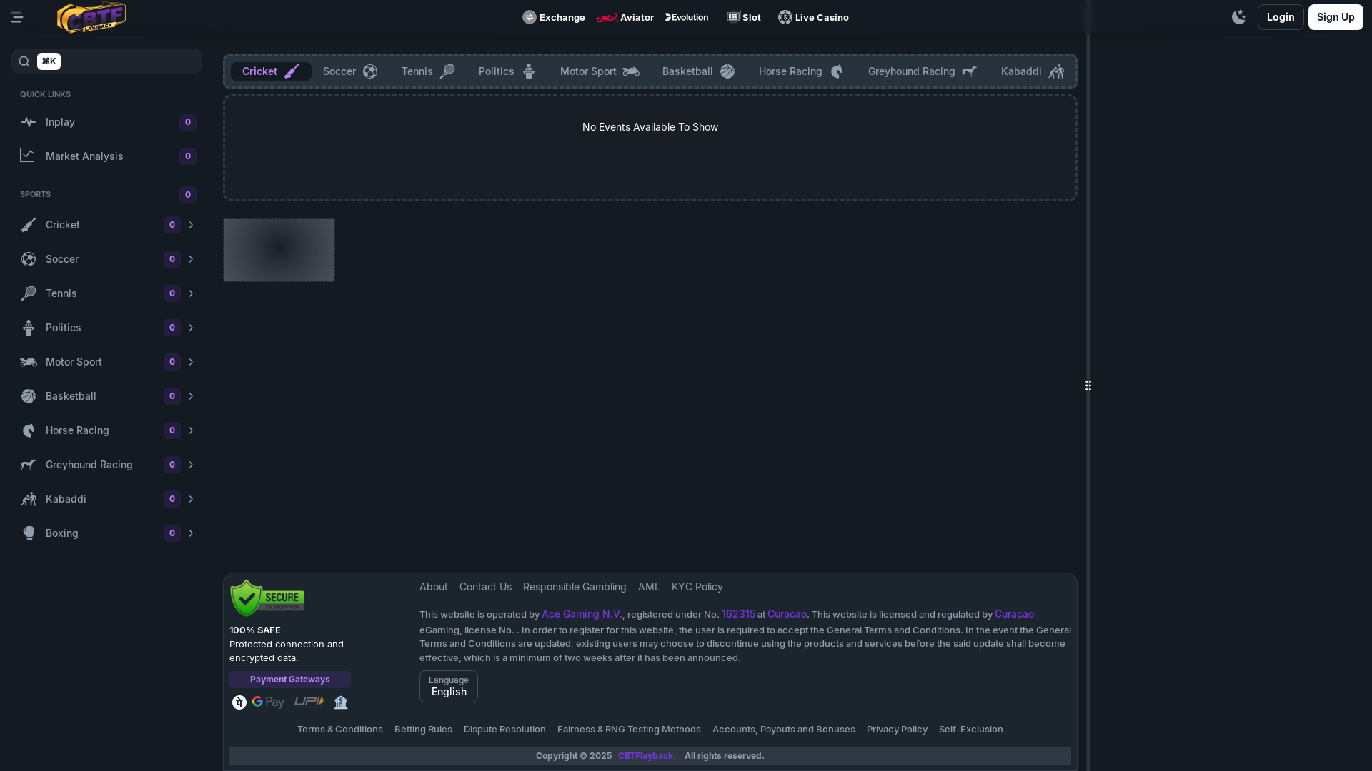 website screenshot of https://client-cbtflayback-com.pages.dev/