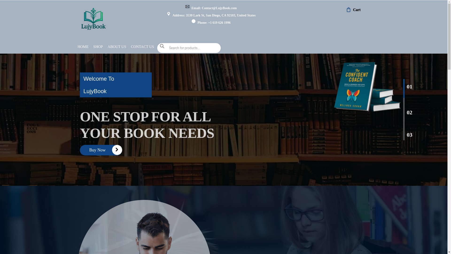 website screenshot of https://lujybook.com/