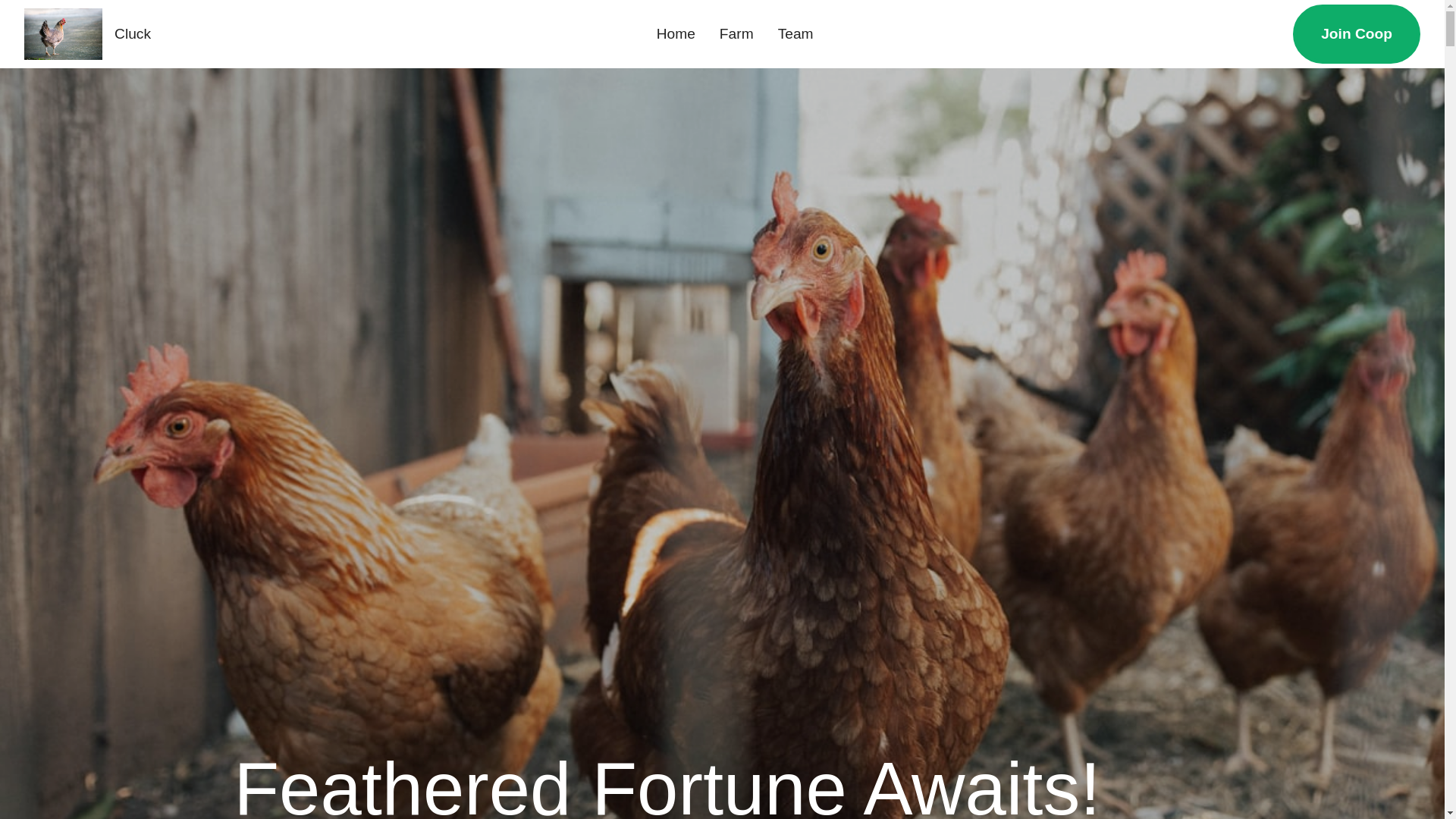 website screenshot of https://chickenroadkizowg.com/