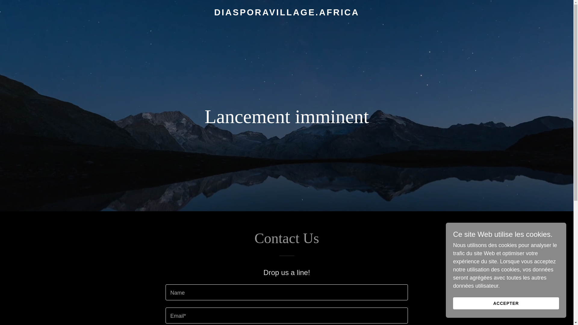 website screenshot of https://diasporavillage.africa/