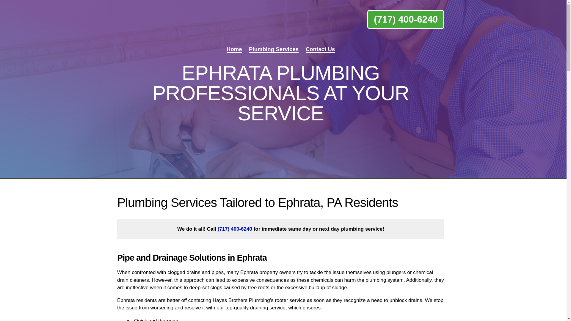 website screenshot of https://hayesplumbing.homes/
