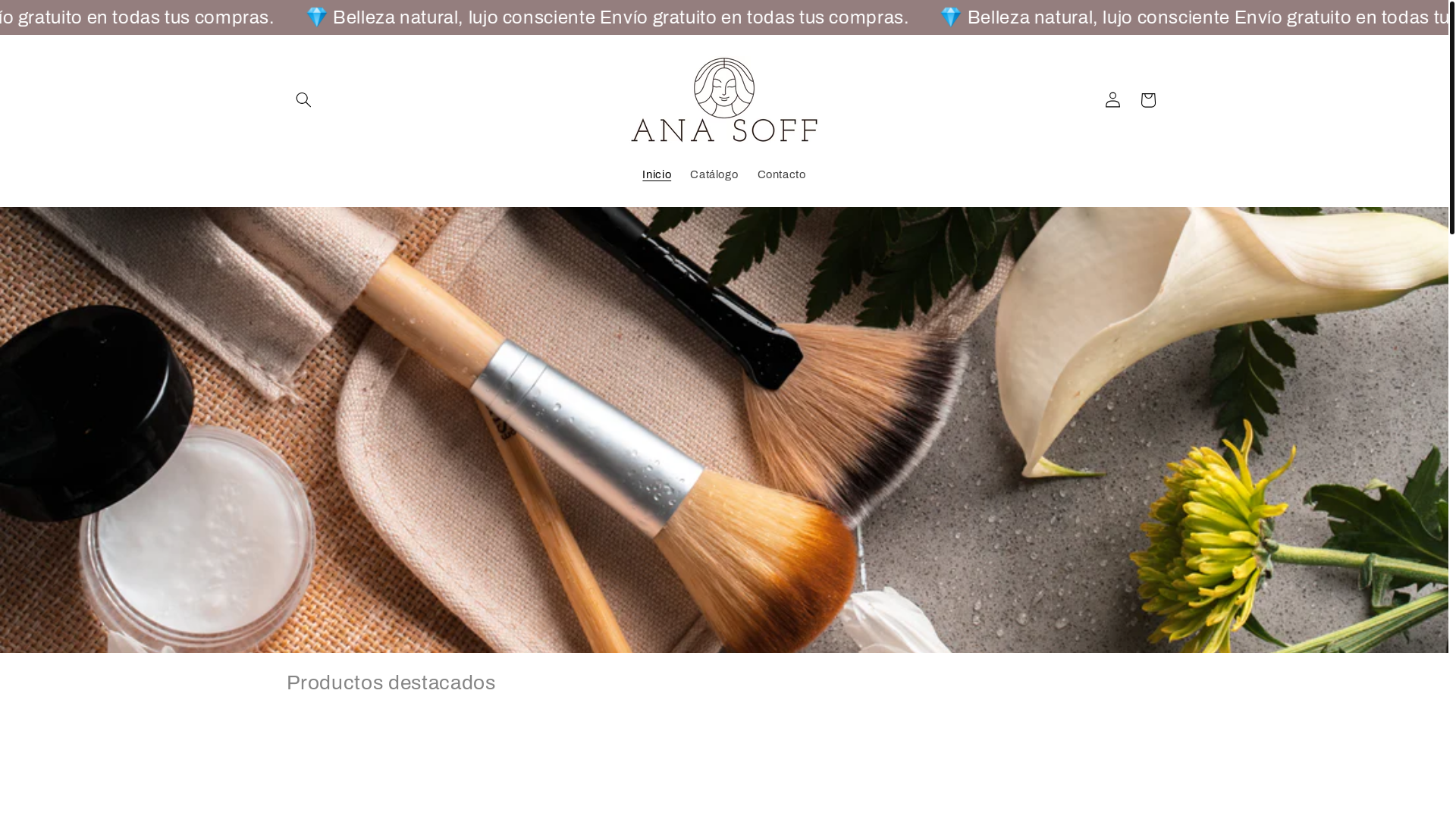 website screenshot of https://anasoff.com/