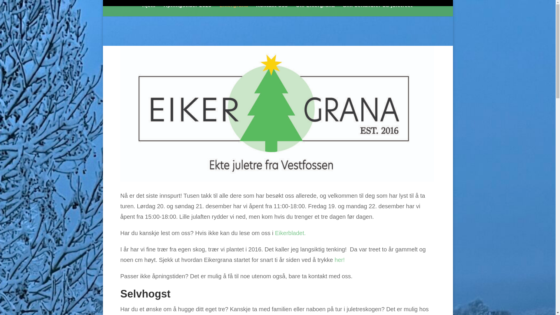 website screenshot of https://www.eikergrana.no/