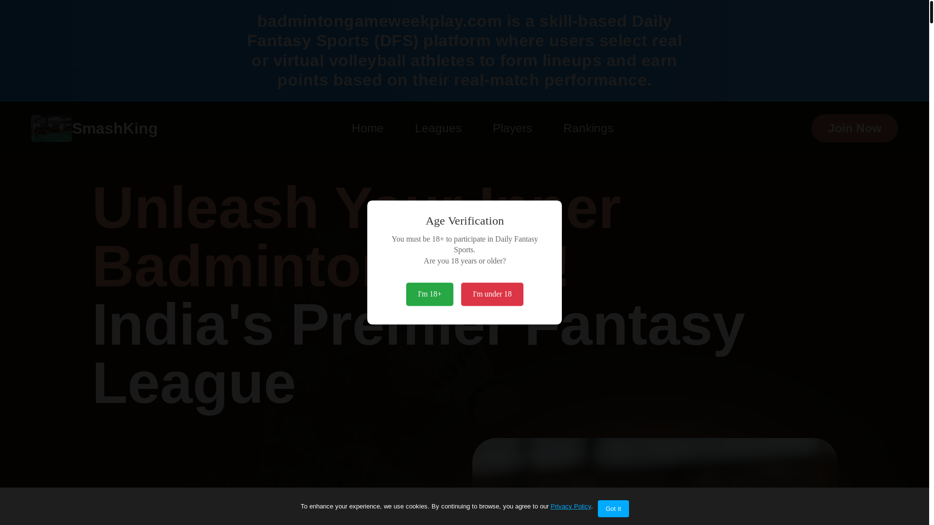 website screenshot of https://badmintongameweekplay.com/