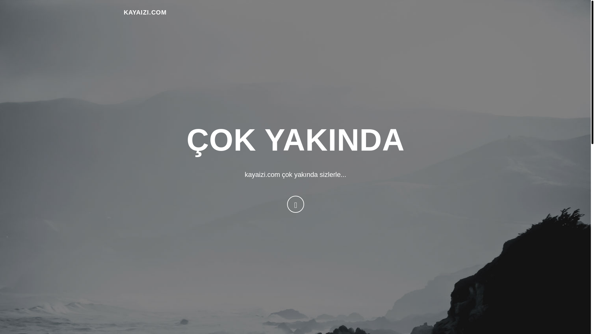 website screenshot of https://kayaizi.com.tr/
