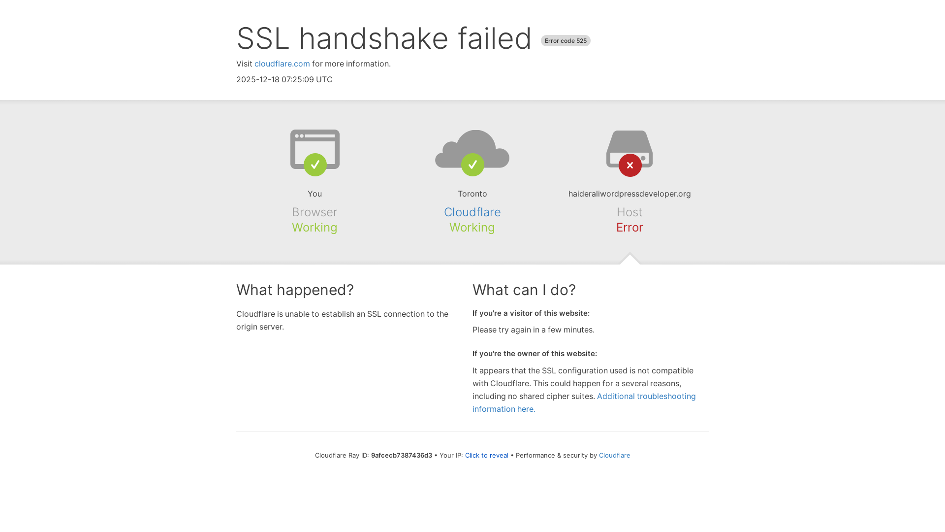 website screenshot of https://haideraliwordpressdeveloper.org/