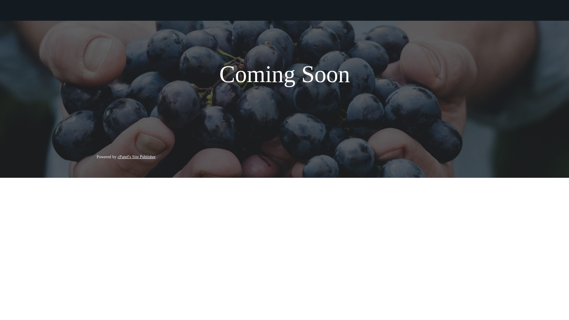 website screenshot of https://kuumbacharity.org.uk/