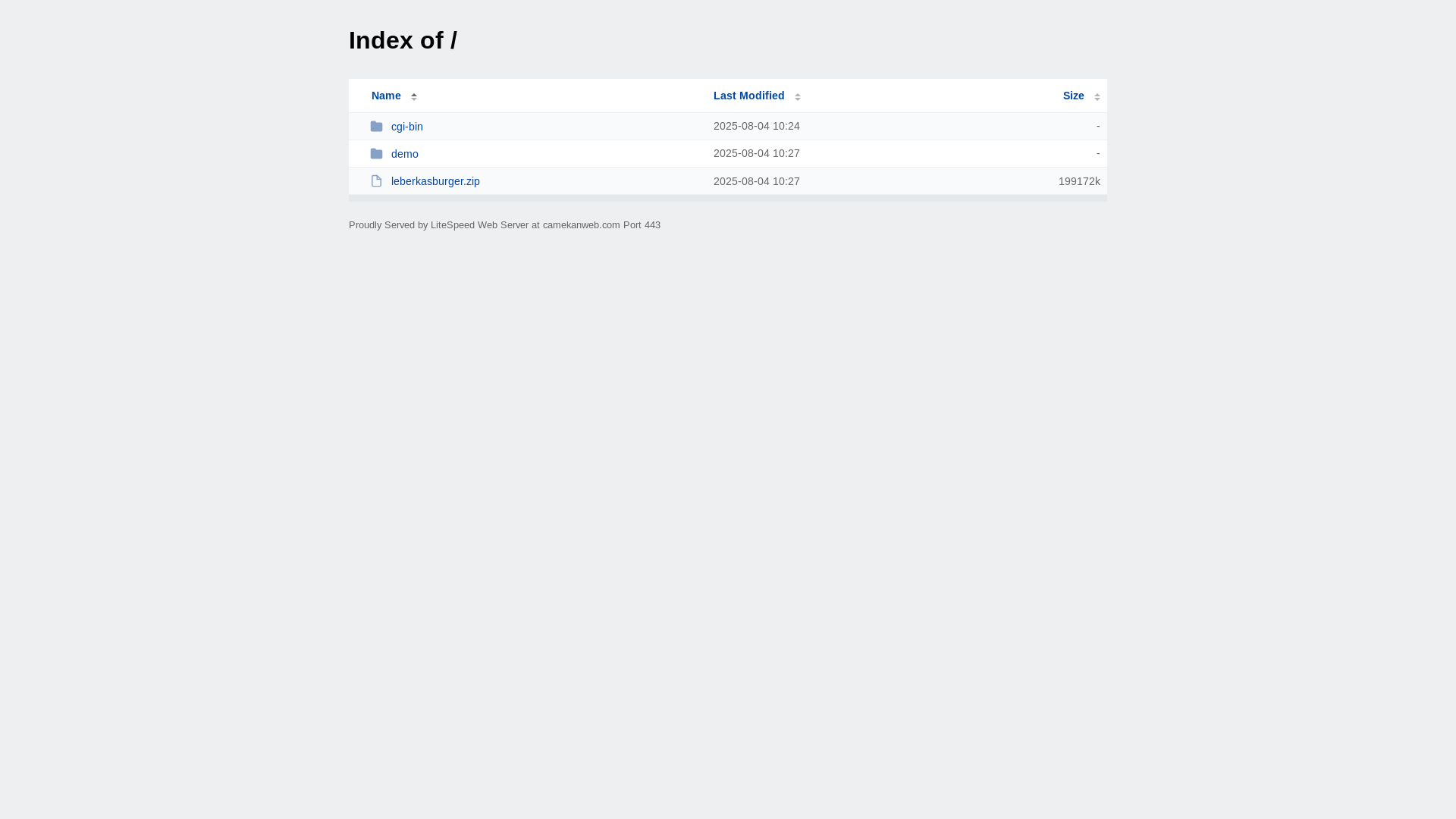 website screenshot of https://camekanweb.com/